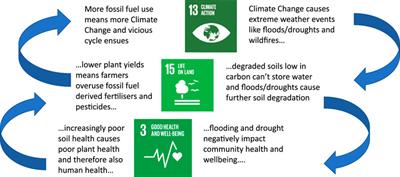 Boosting soil literacy in schools can help improve understanding of soil/human health linkages in Generation Z